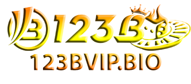123B – Đại lý chính thức tại Việt Nam
